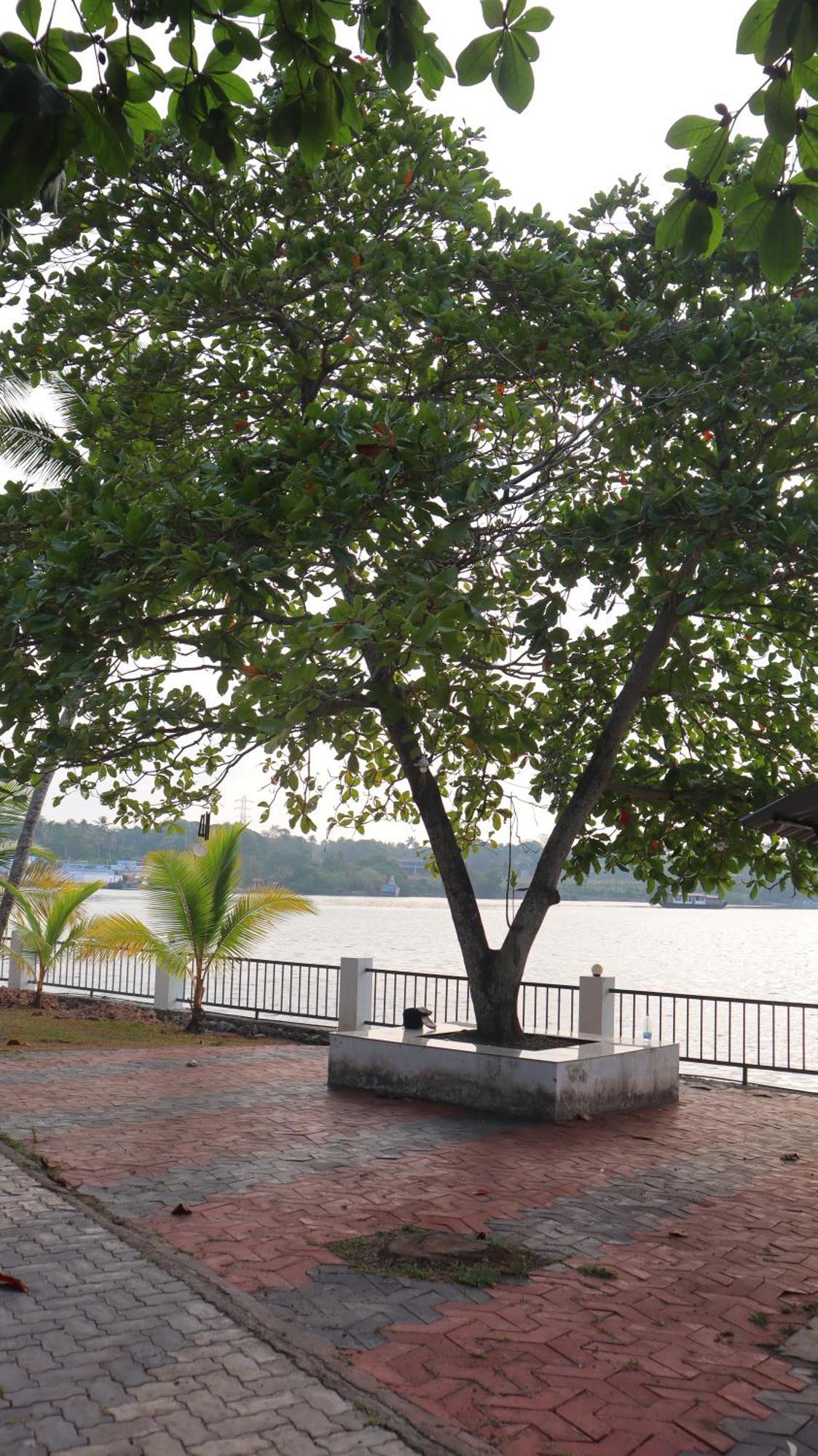 Ripples Service Villas Kollam Exterior foto