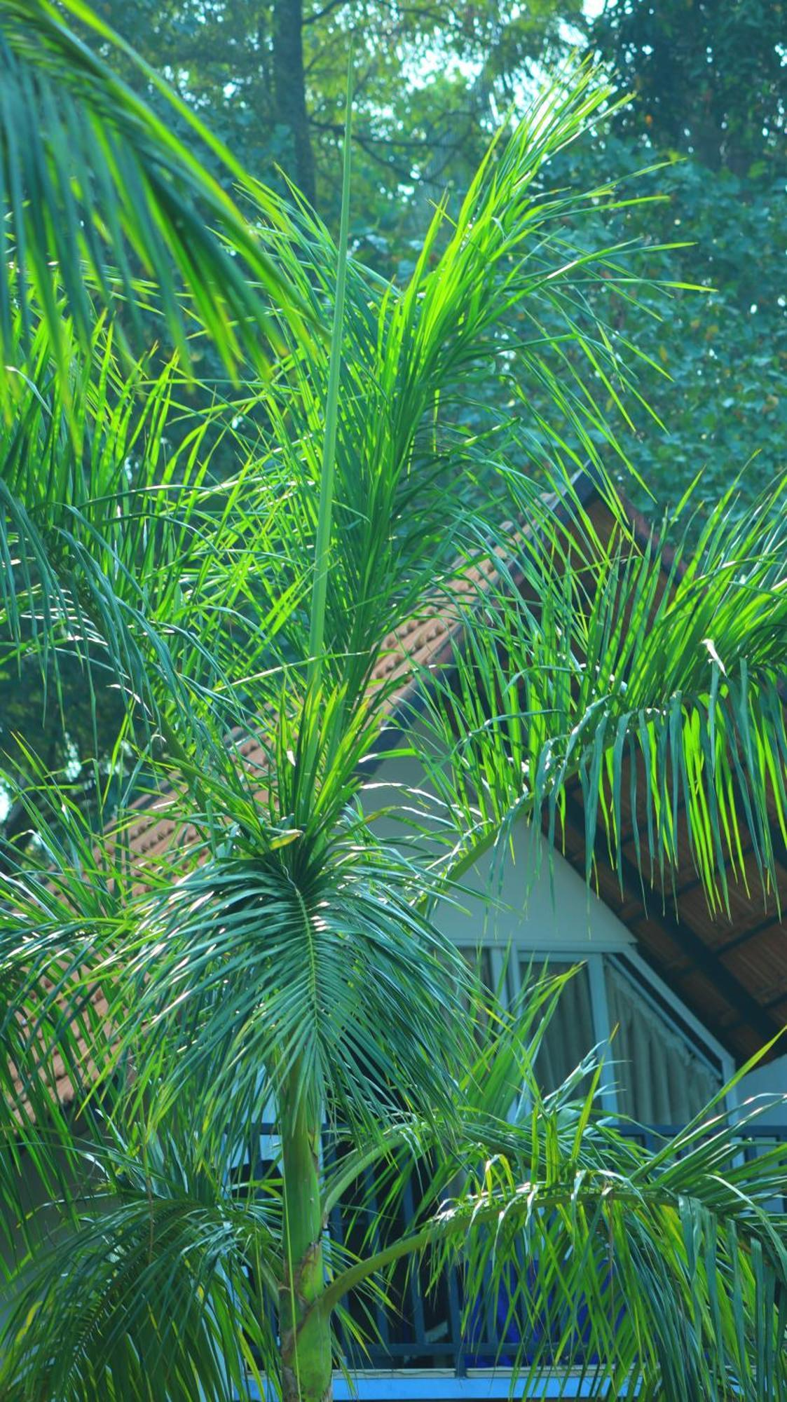 Ripples Service Villas Kollam Exterior foto